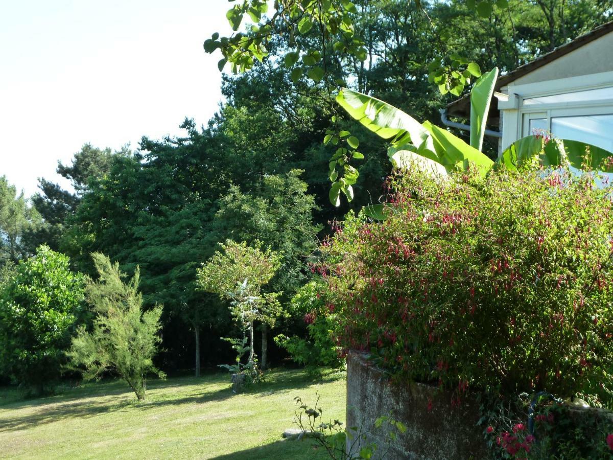En Rouge Et Noir Bed & Breakfast Monbazillac Ngoại thất bức ảnh